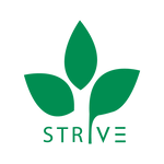 Strive Collective